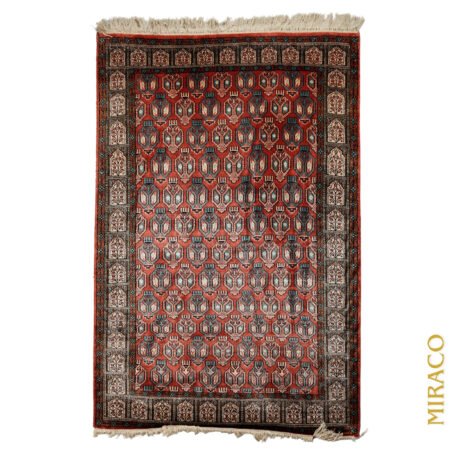 Trible Paisley